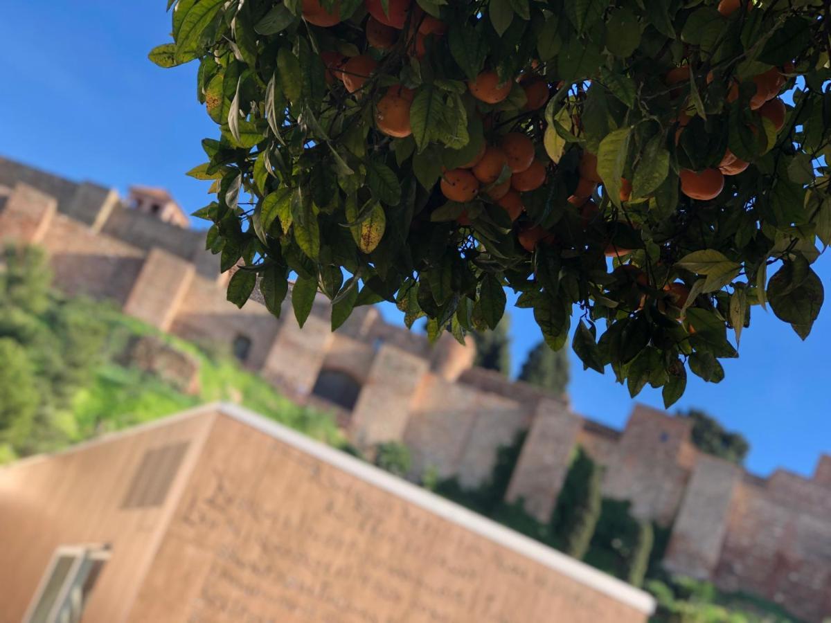Dl Patio Malaga Apartment Екстериор снимка
